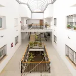 El Tarin Daire